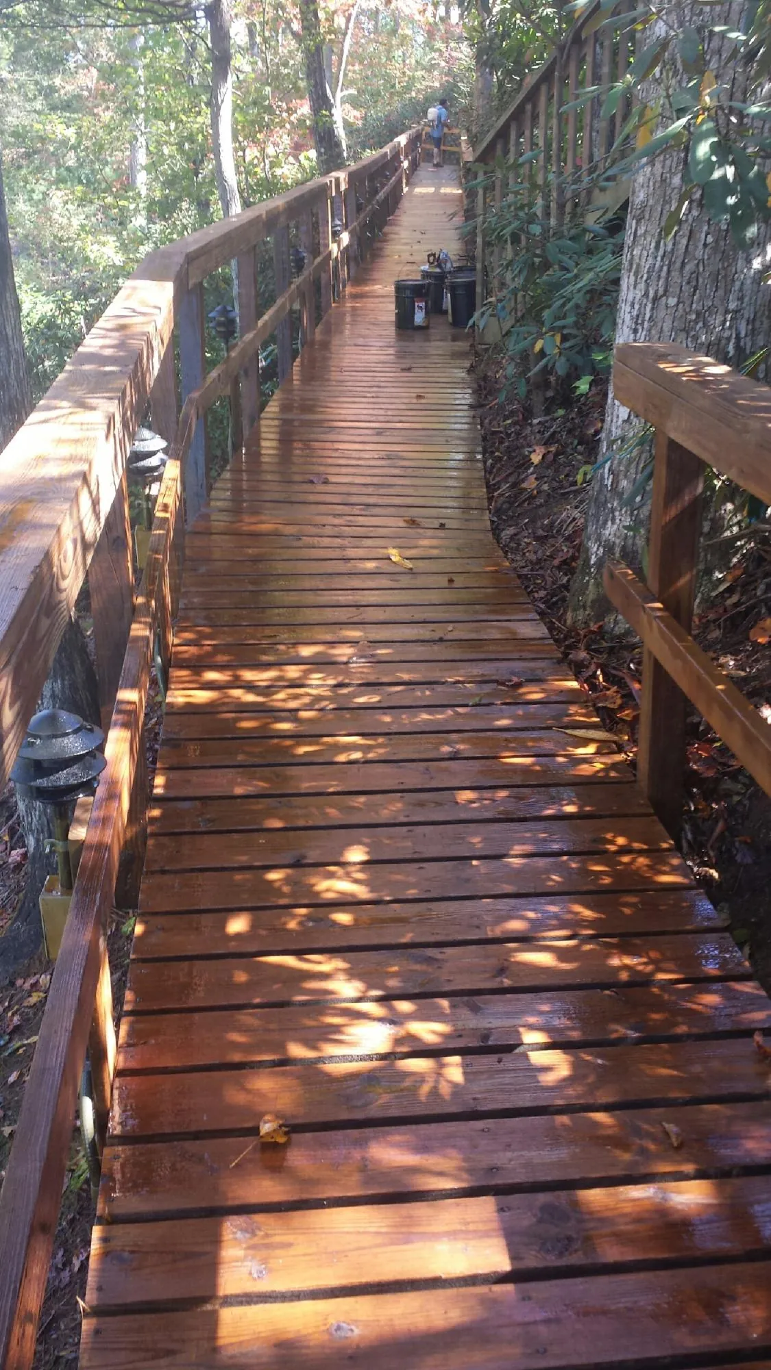 Freshly stained wood walkway winding through the woods in Avinger