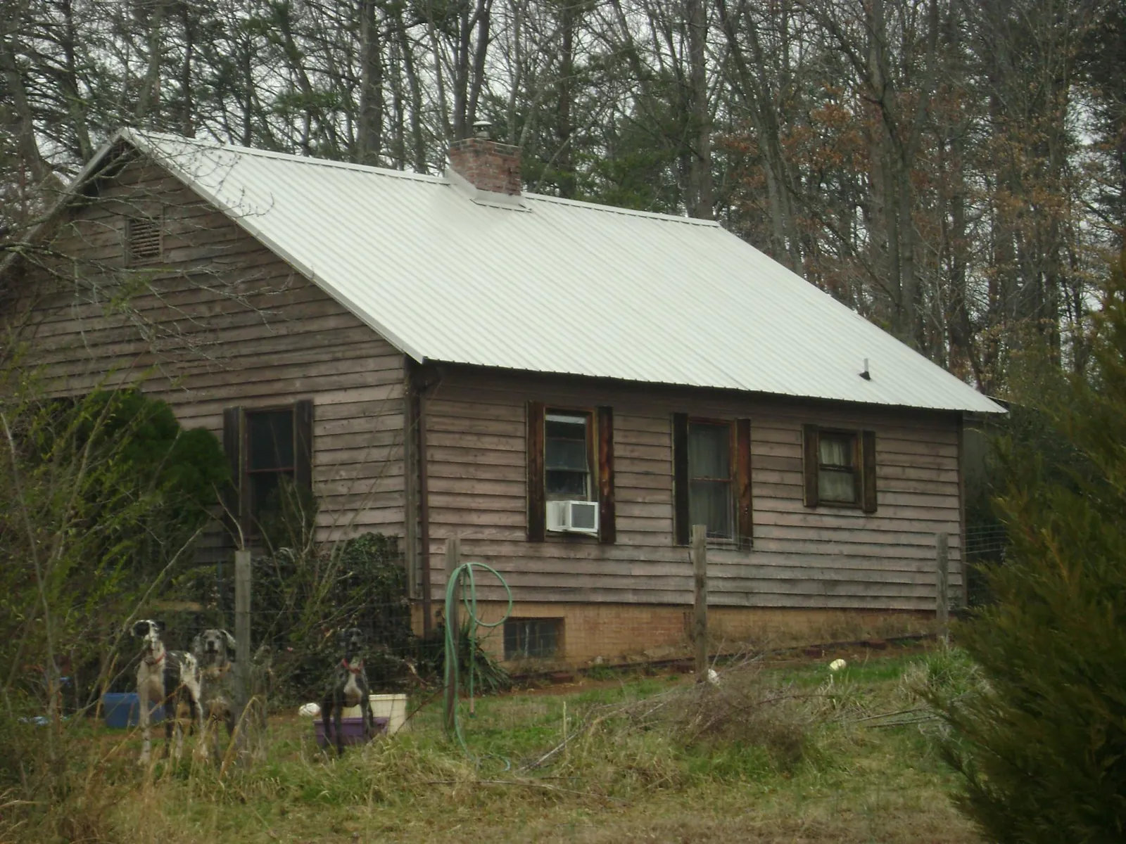White metal roof on an old wood sided farmhouse, from a Asphalt Shingle Roof Repair job in Avinger